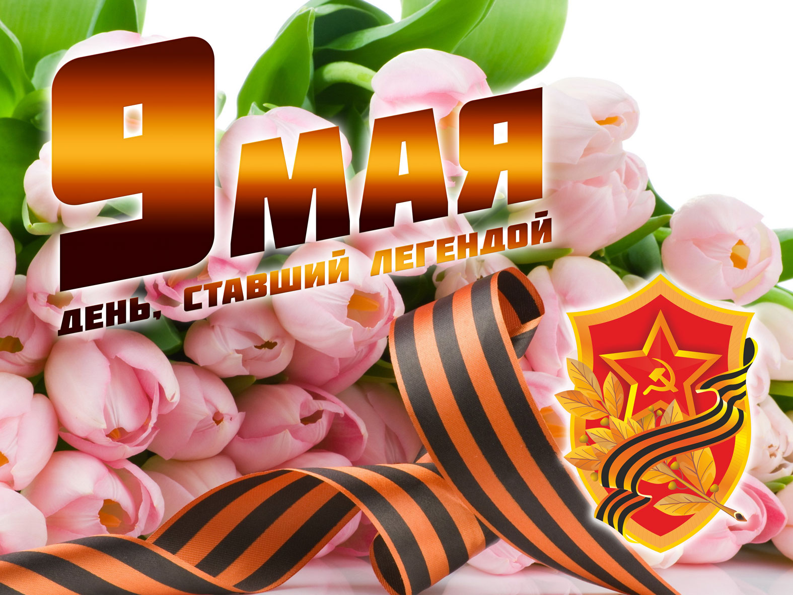 Баннер с тюльпанами на 9 мая